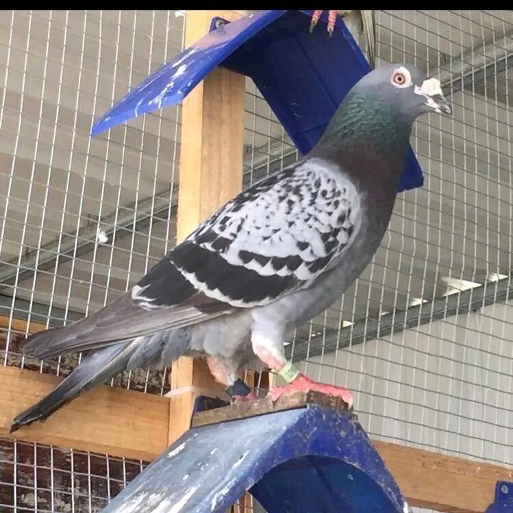 一切随风