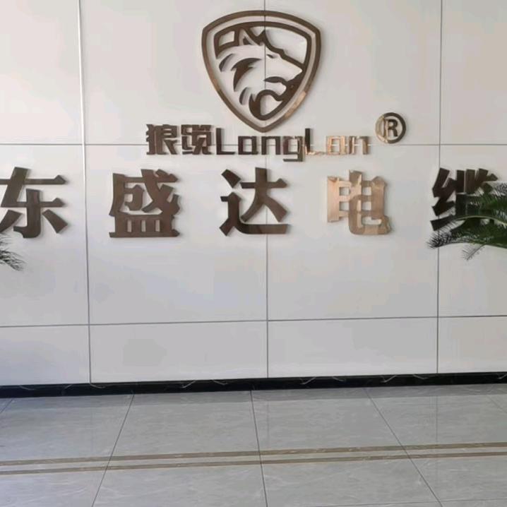 沈阳东盛达电缆有限公司