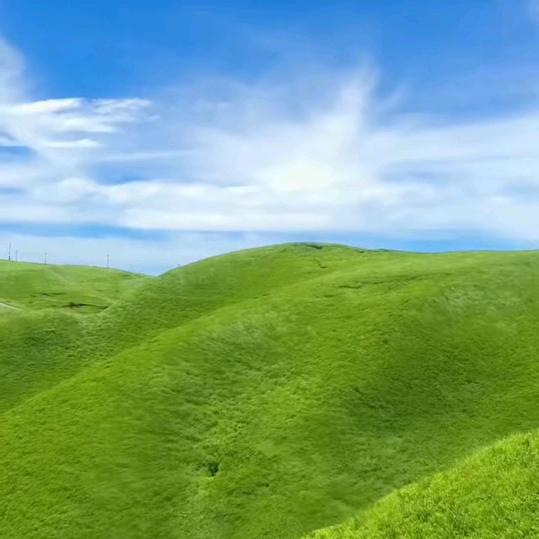 💞ꦿ只与你💗ཽ࿆࿐