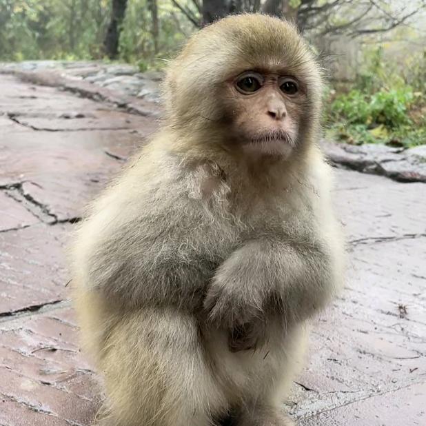 守月🐲🐵