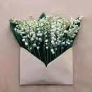玫瑰🌹