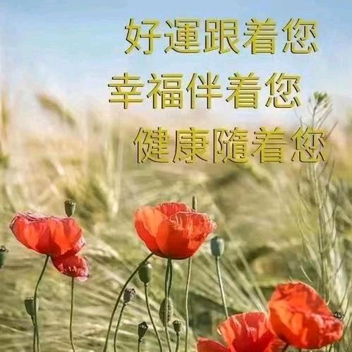 莫问前程