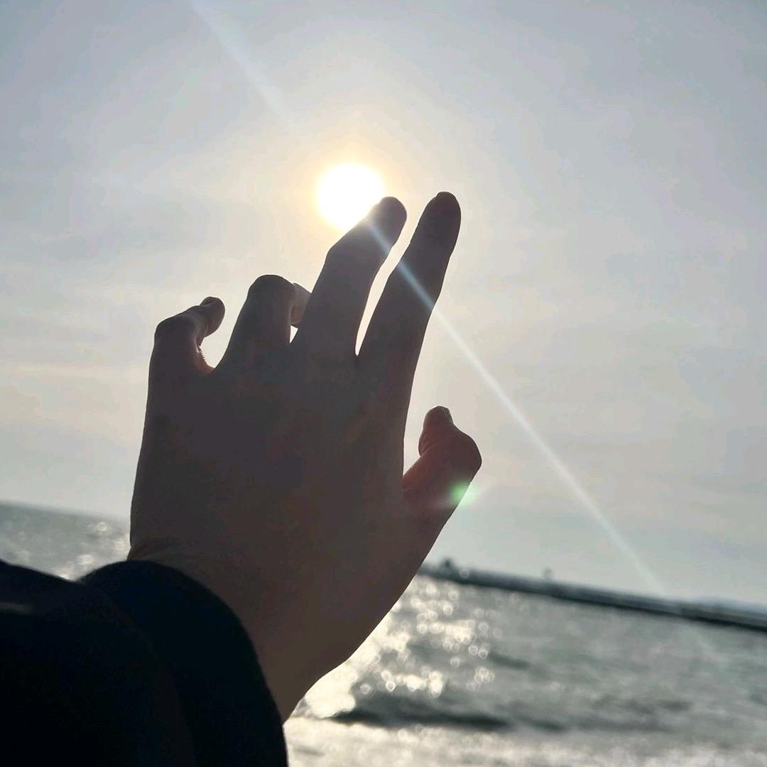 开心的妙蛙种子