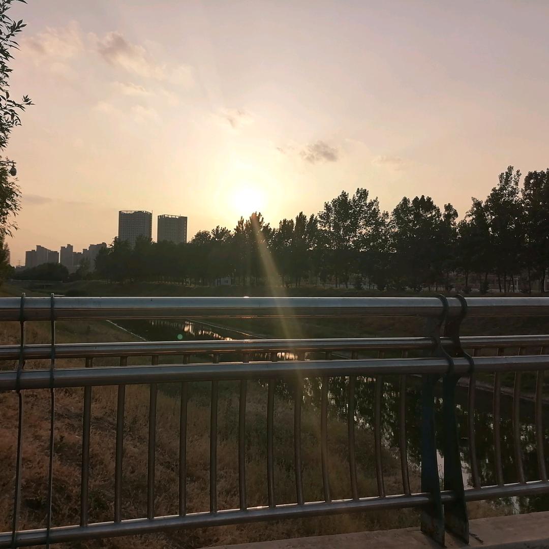 zjt涛涛