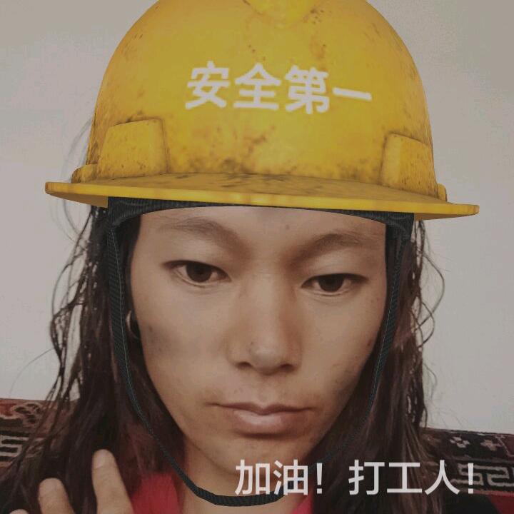 玫瑰花。