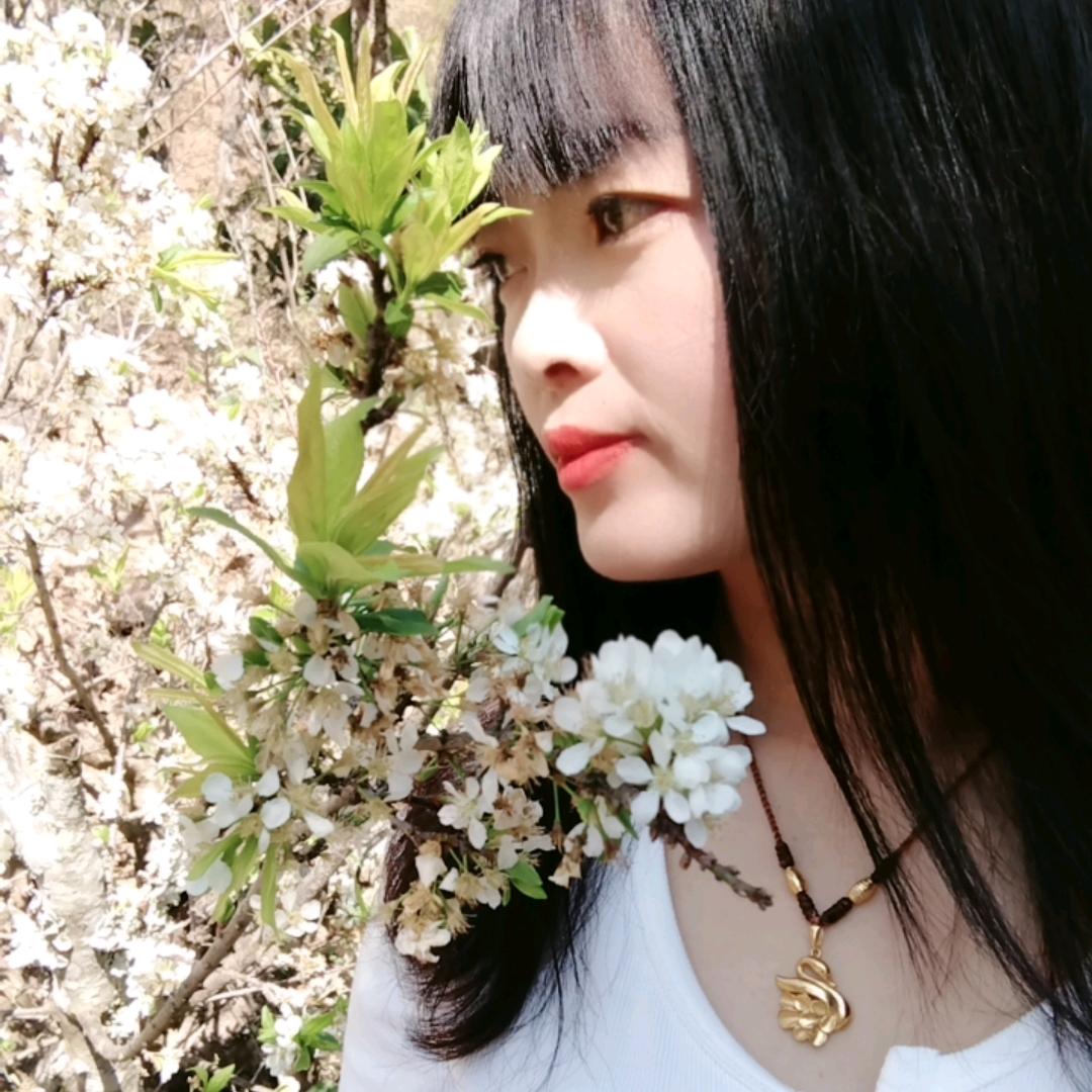 🍁🍁叶落相随