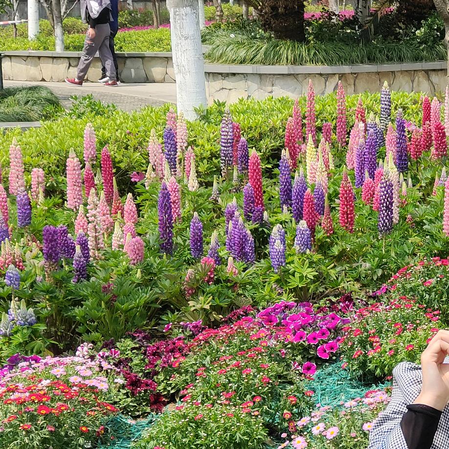 彼此守侯