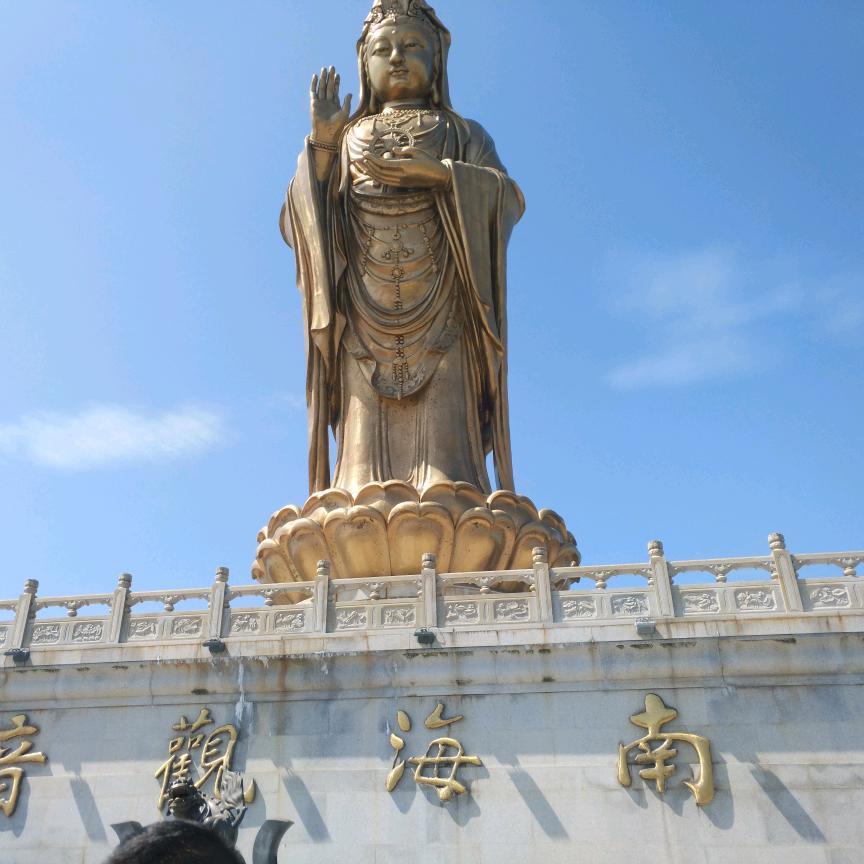 辽宁盖州嘉枫绒山羊413