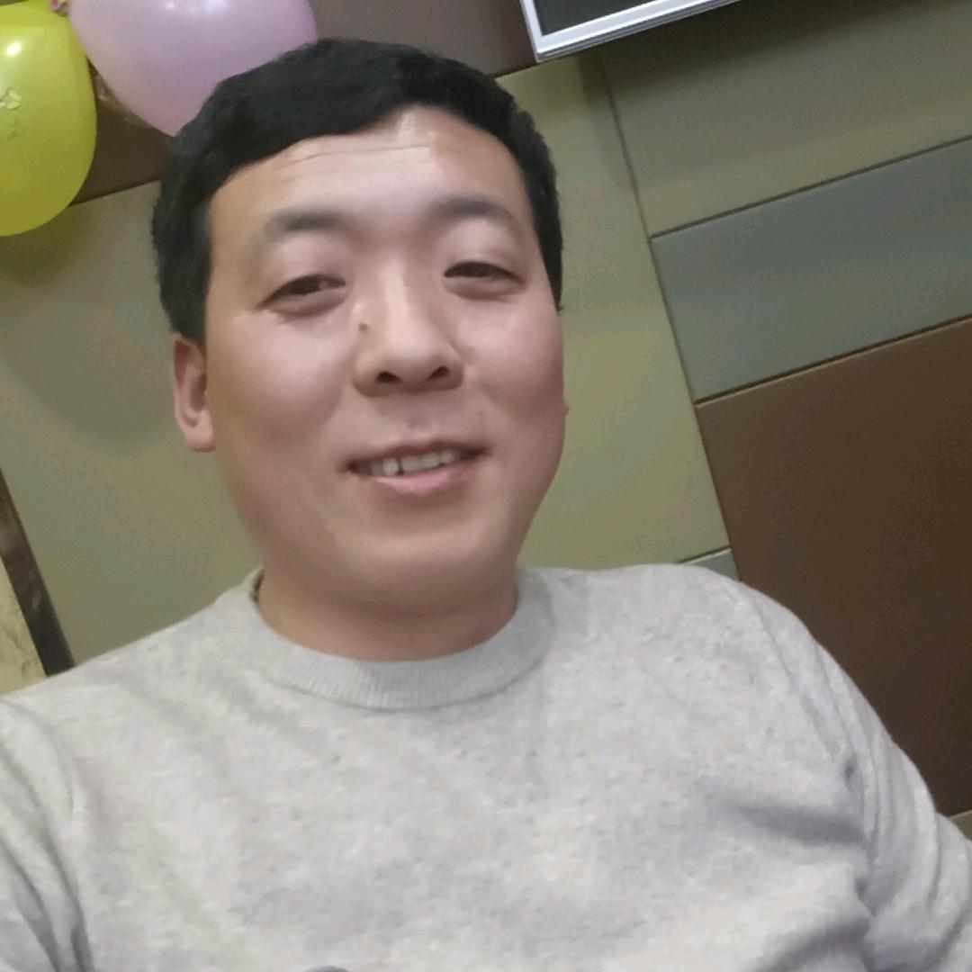 老酒馆的猫