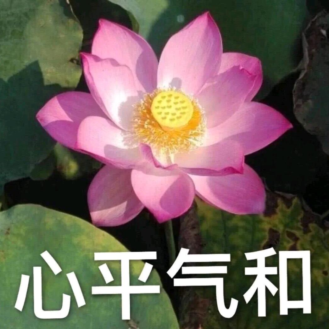 心平气和