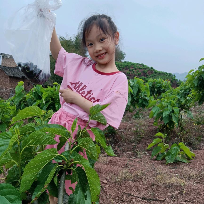 琳子妈