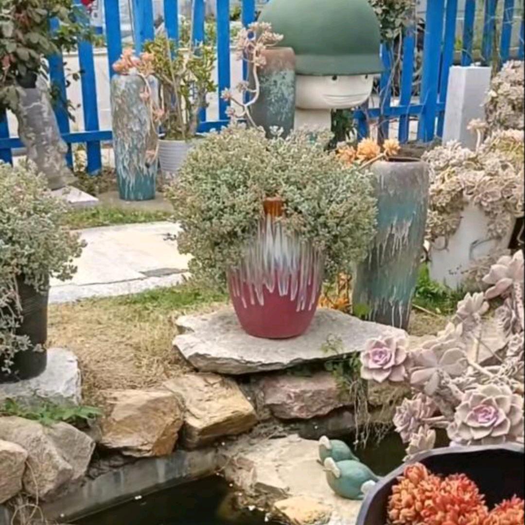 岁月无情