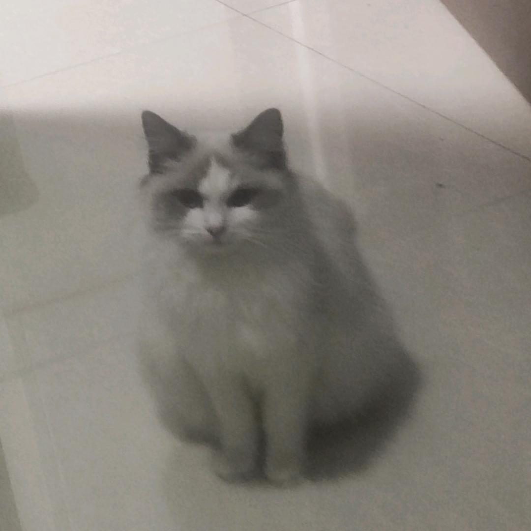 那咋啥都好吃呢