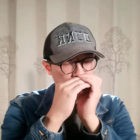一只鱼口琴