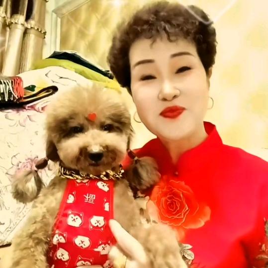 张美美🌺