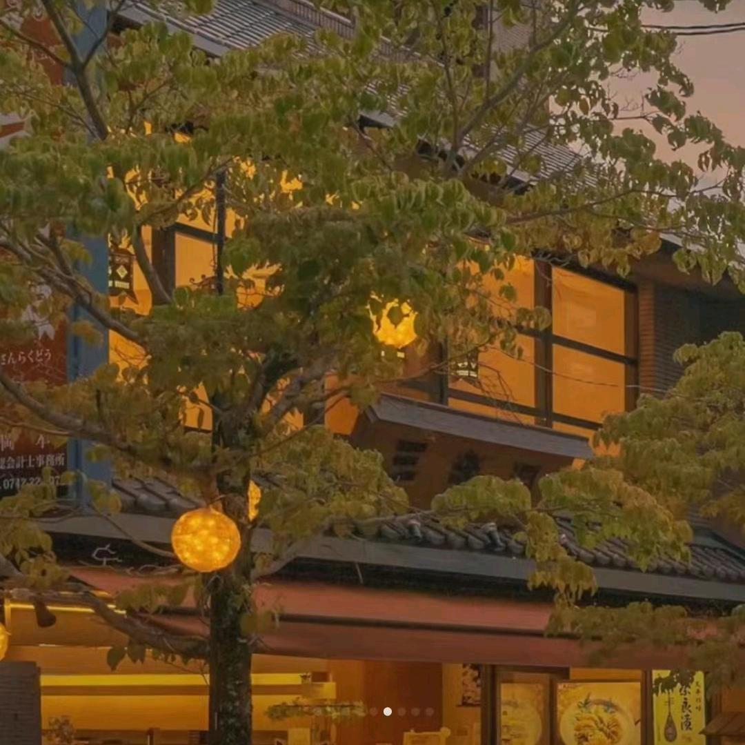回忆陆
