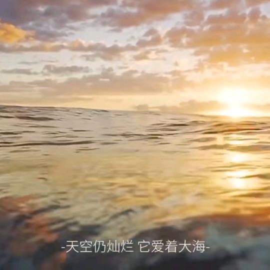 良权