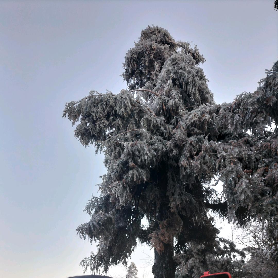 东莞保诚汽修设备工具