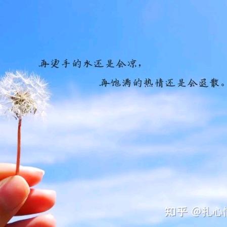 一棵树苗木基地～麦冬草丹麦草