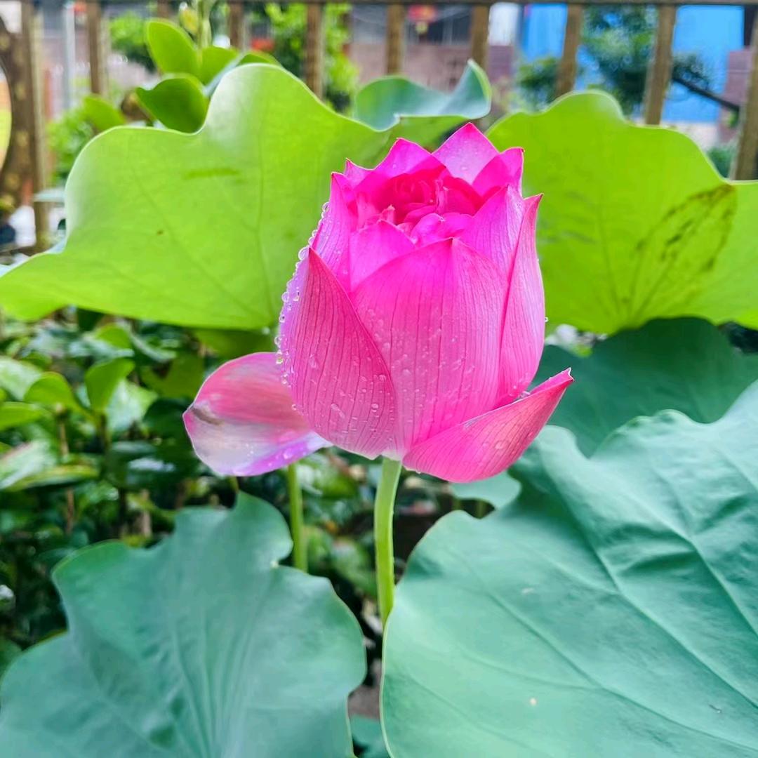 潮汕文理