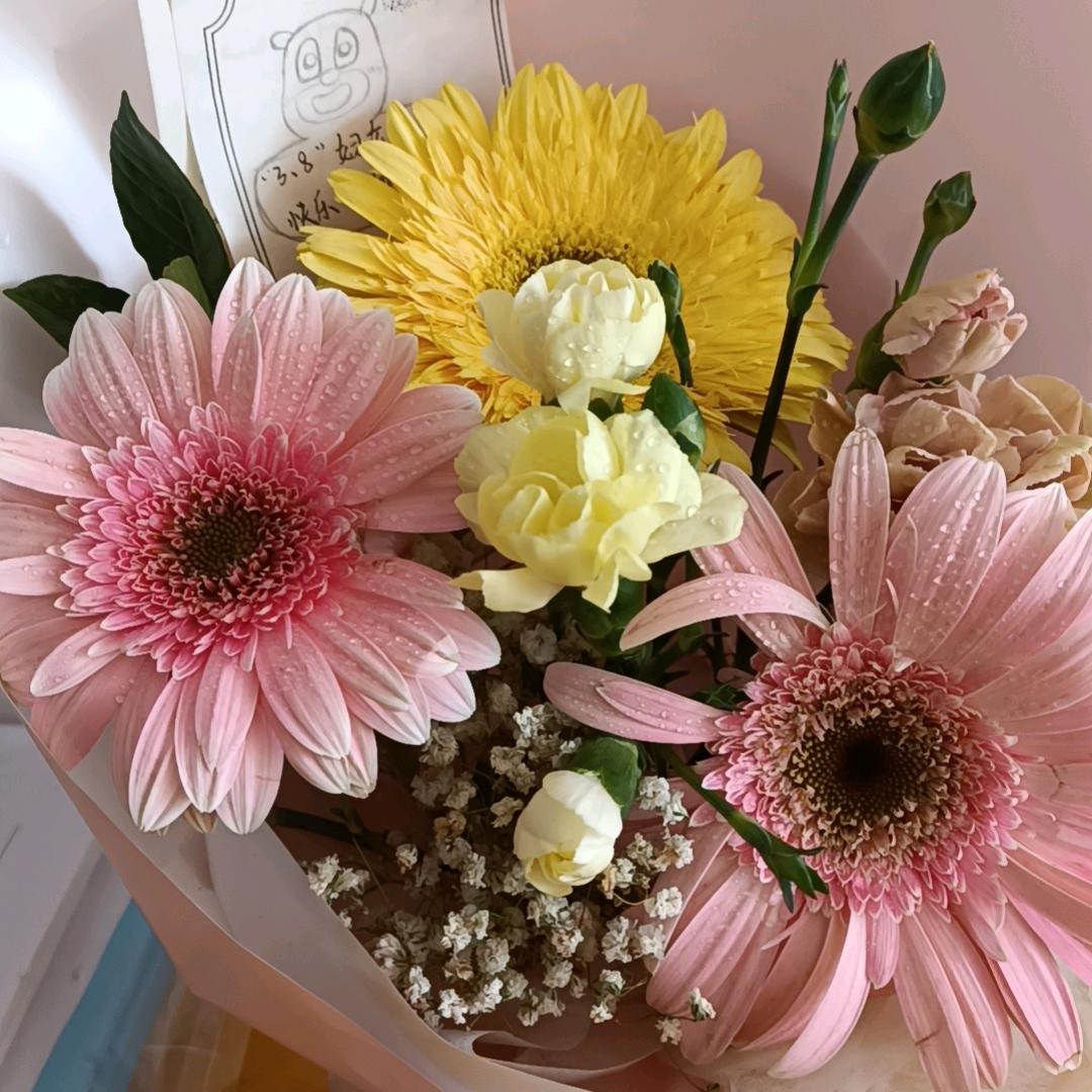 秦安县金合盛分店家电营销中心