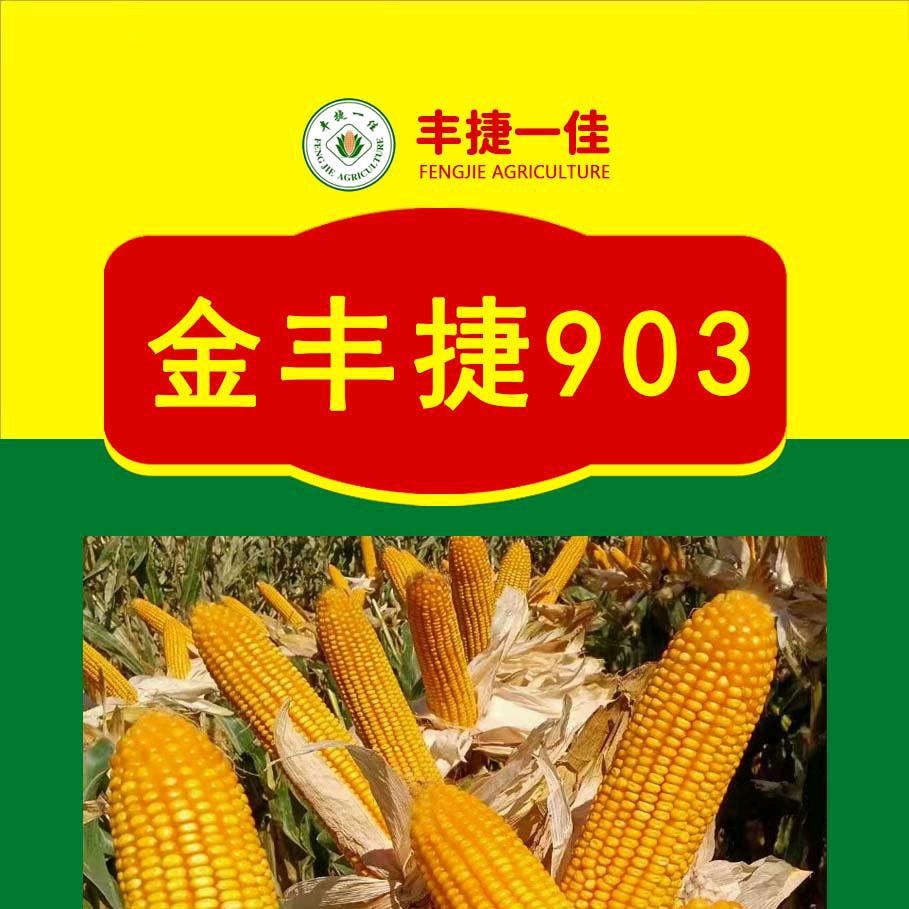 金丰捷903