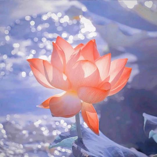 才