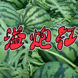 张掌柜蔬菜批发部