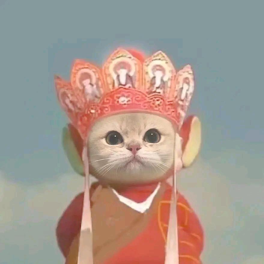糊涂🐛