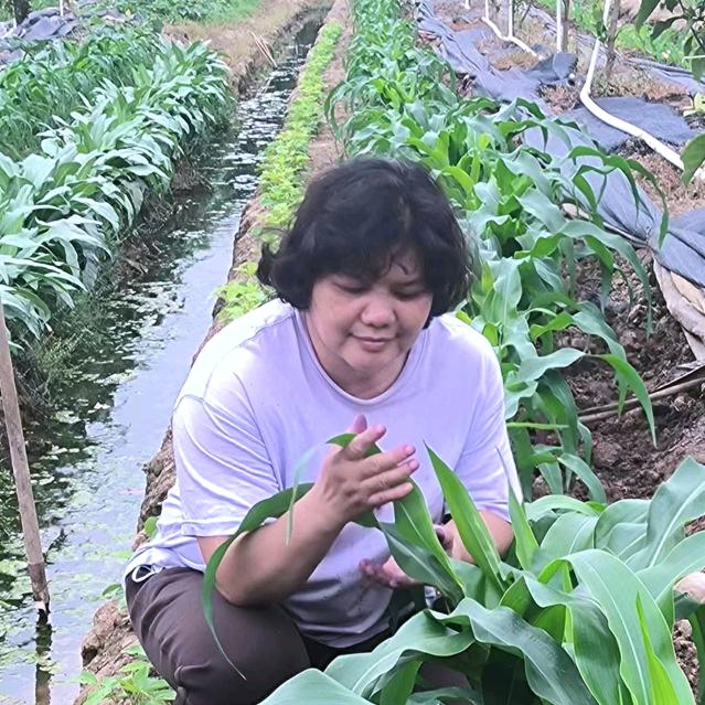 沃尔丰农资李大姐