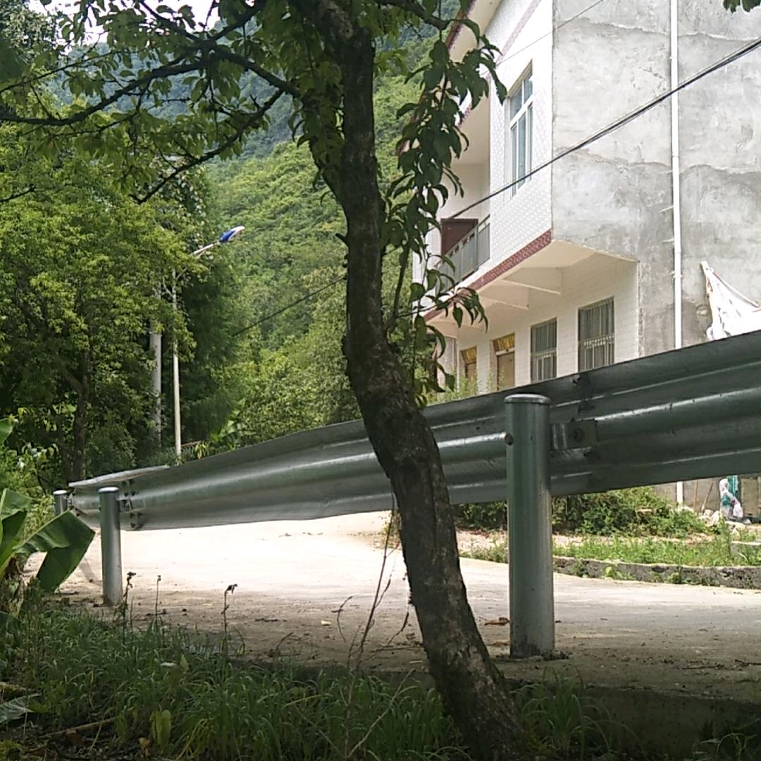 花花草草🌸🌸🍀🍀