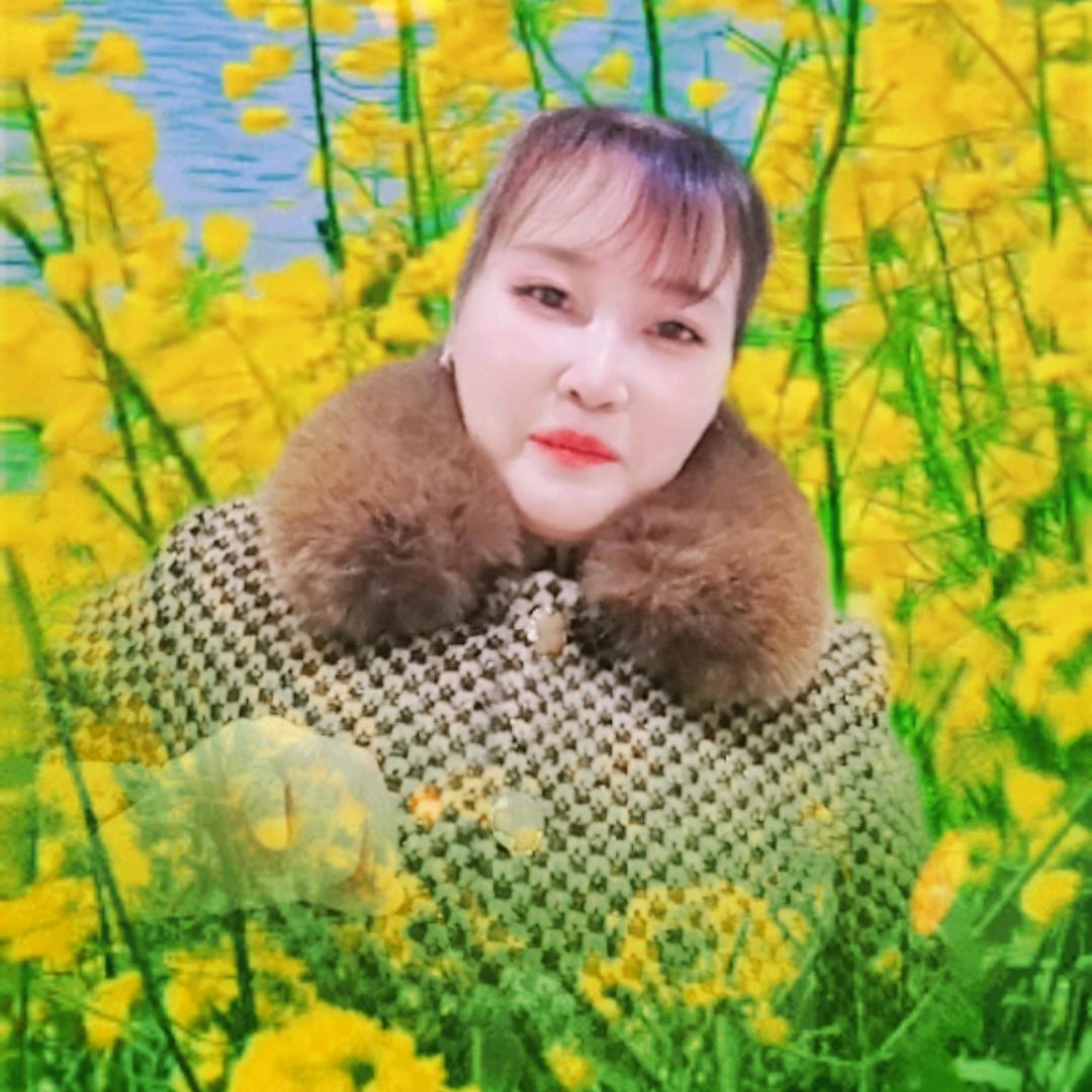 菊姐姐