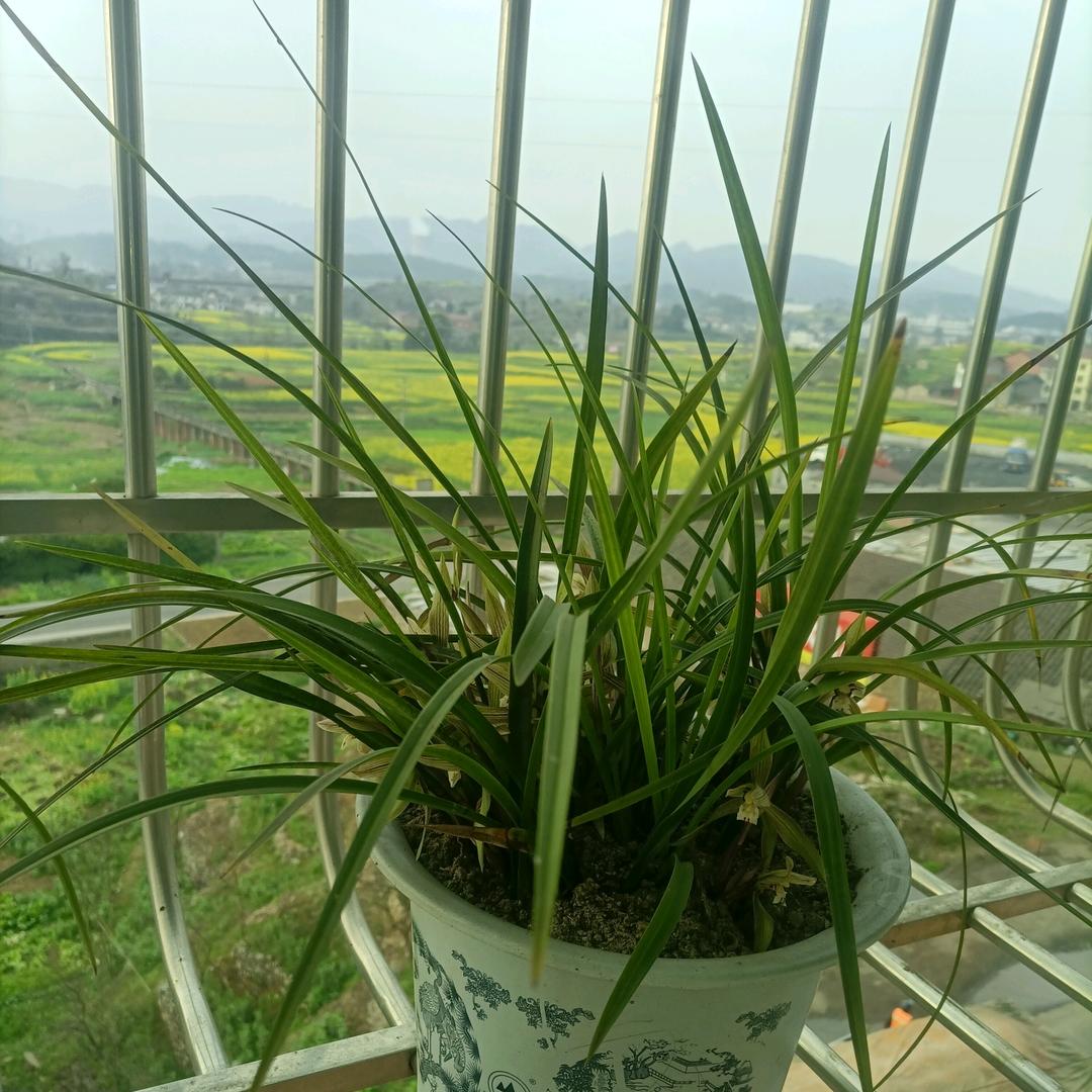 @冉
