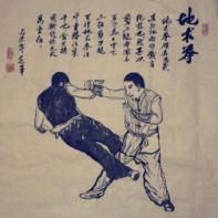 地术拳钦哥人在江湖身不由己