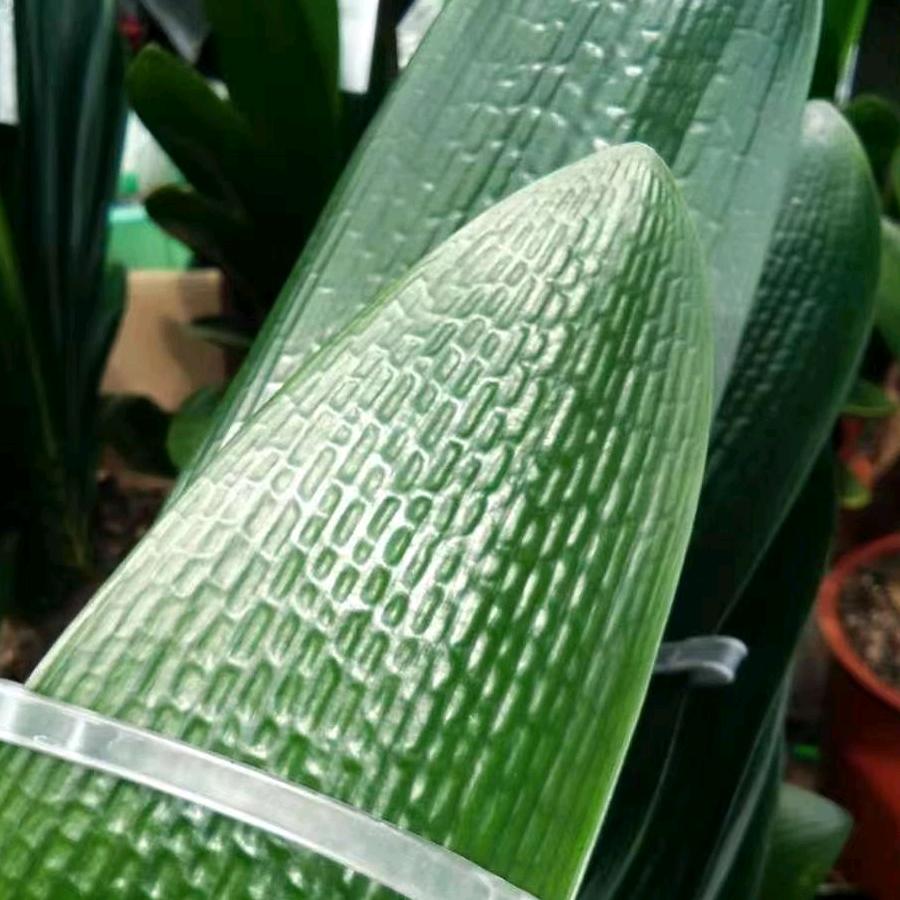 好时光家庭农场