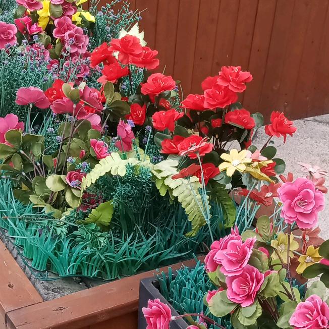 路过花开