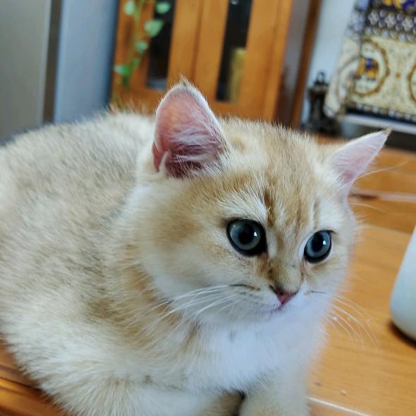 我是我