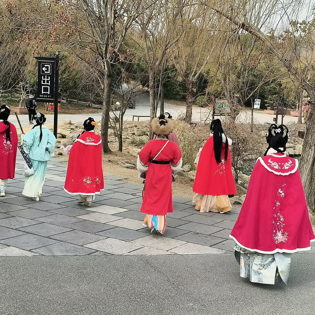 忆夏