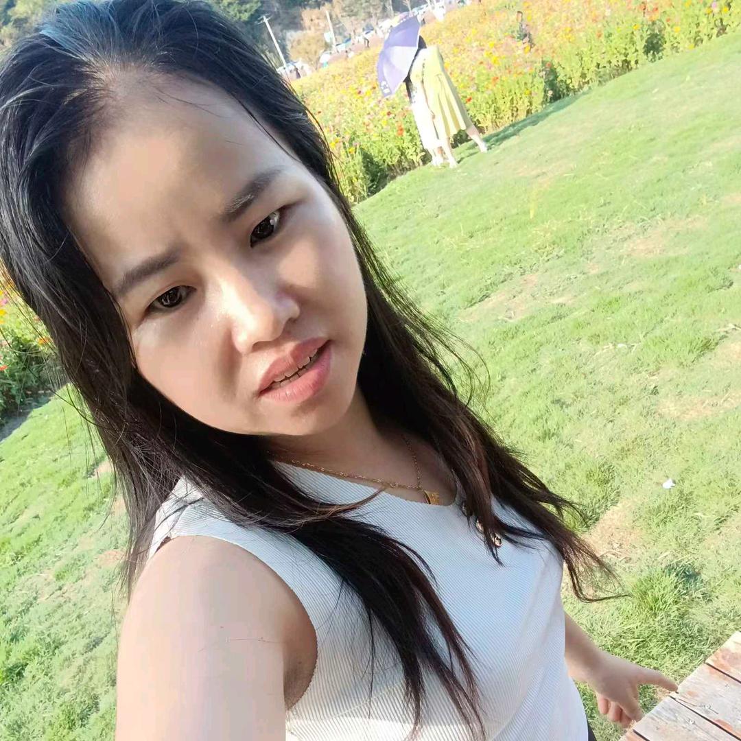 杨琴
