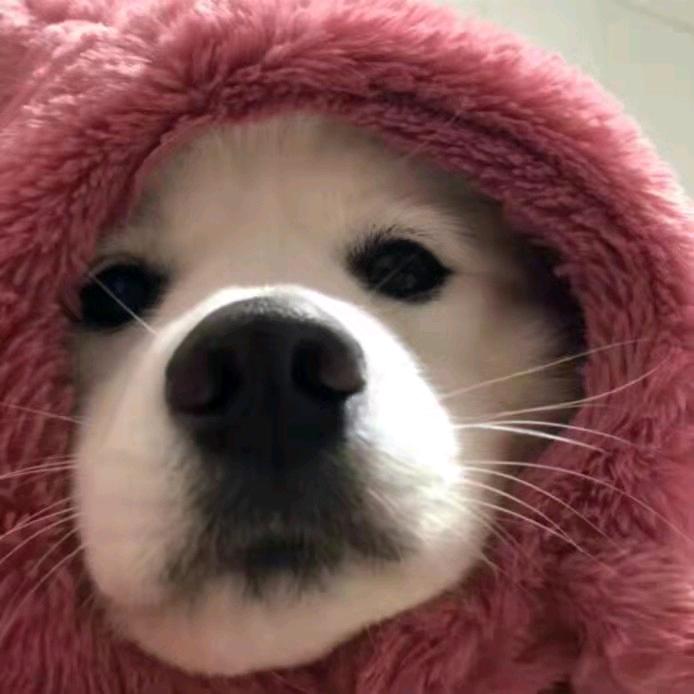 三角洲车身