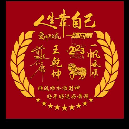 孝善哥《东山再起》