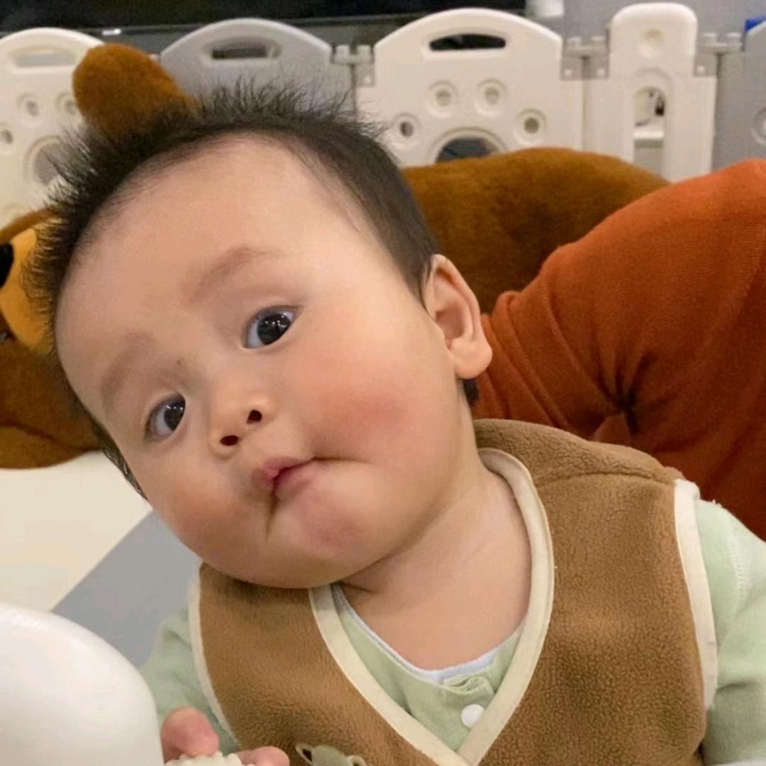 觅食记
