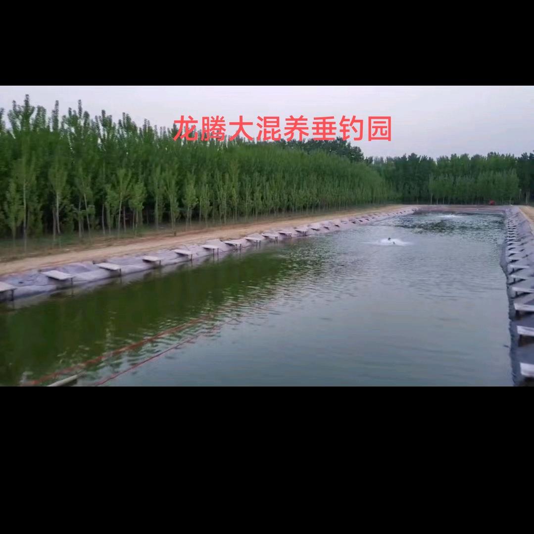 龙腾大混养垂钓园