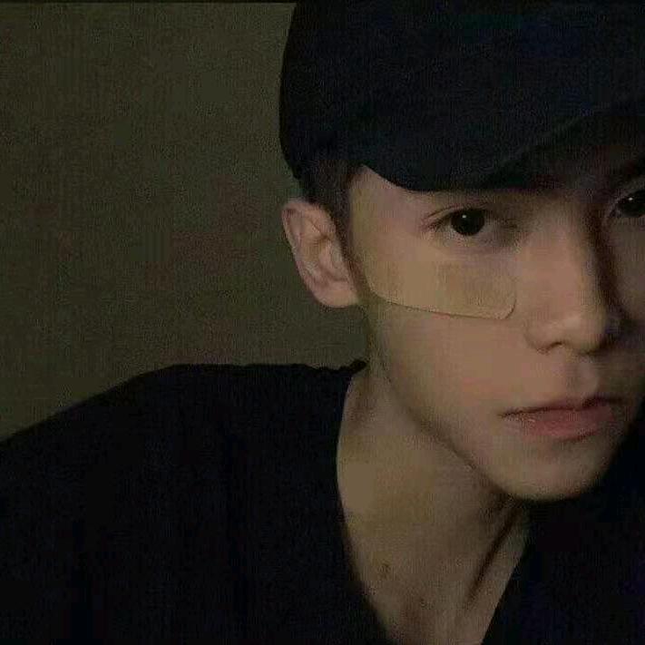 枫