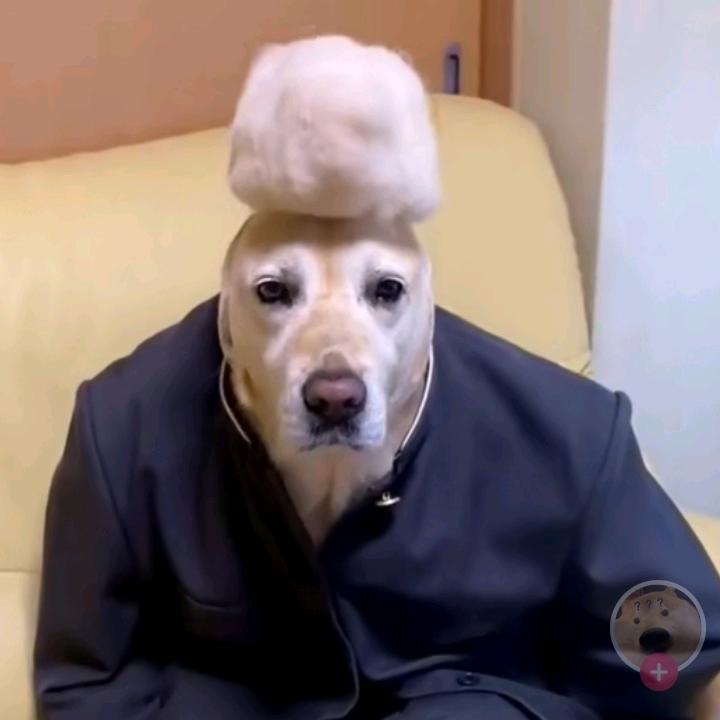 (°ー°〃( ͡° ͜ʖ ͡°)✧