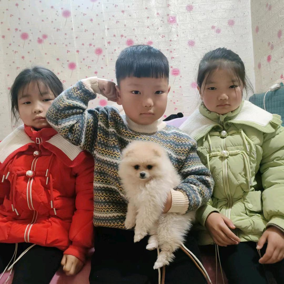张女士