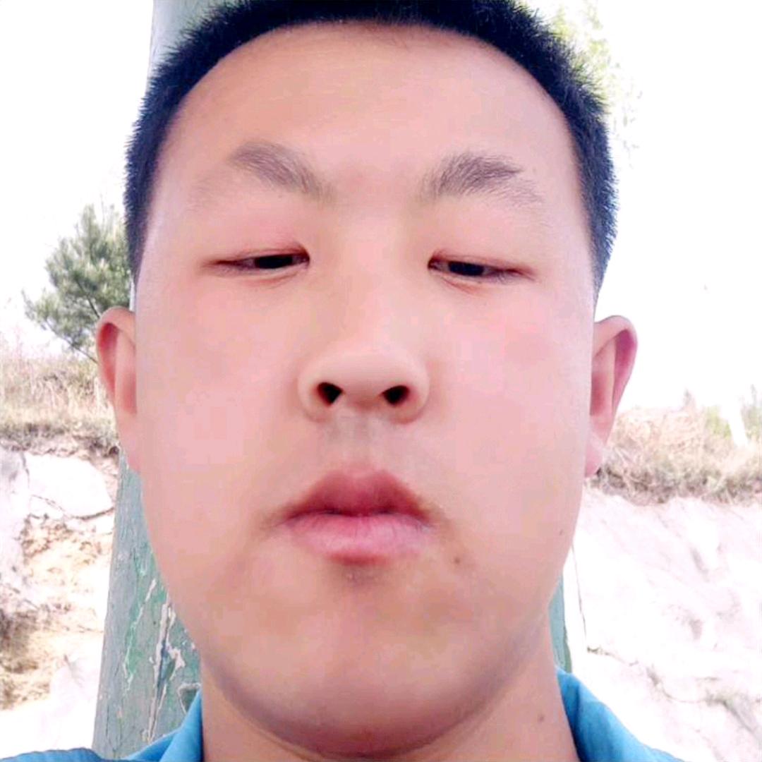 小鸟