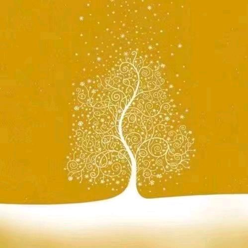 兰考专业贴砖（丁贤）