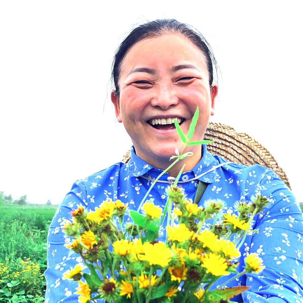 大麦姐姐