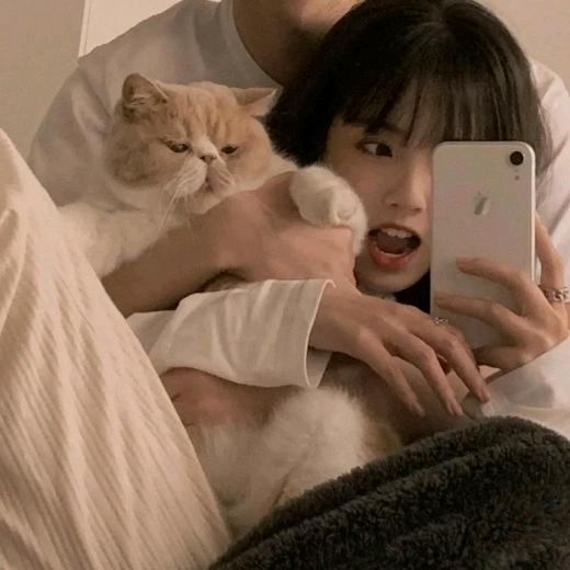 栀七